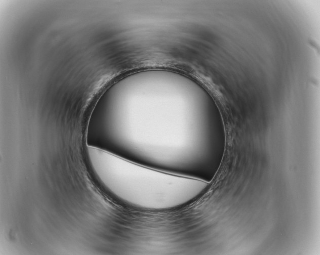 X0000094230060200710261022
