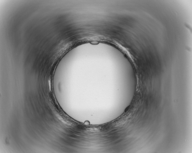 X0000094230061200710261022