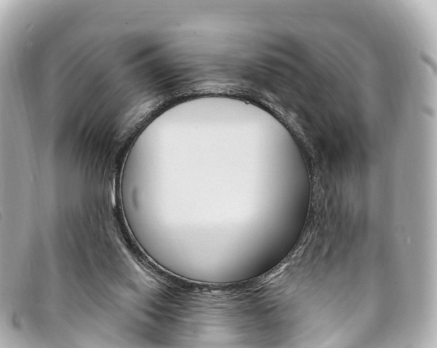 X0000094230062200710261022