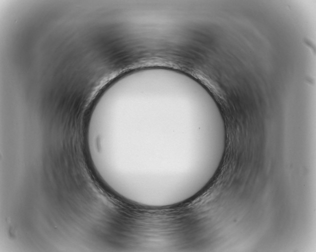 X0000094230064200710261022