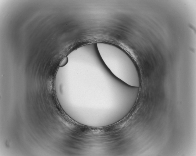 X0000094230065200710261022