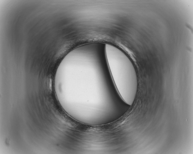 X0000094230067200710261022