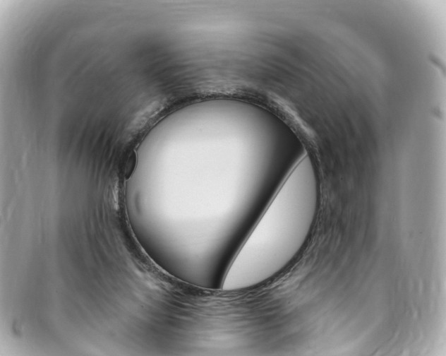 X0000094230068200710261022