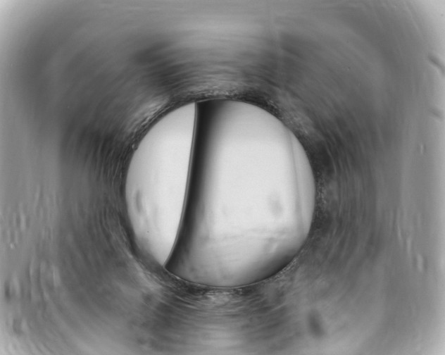 X0000094230070200710261022