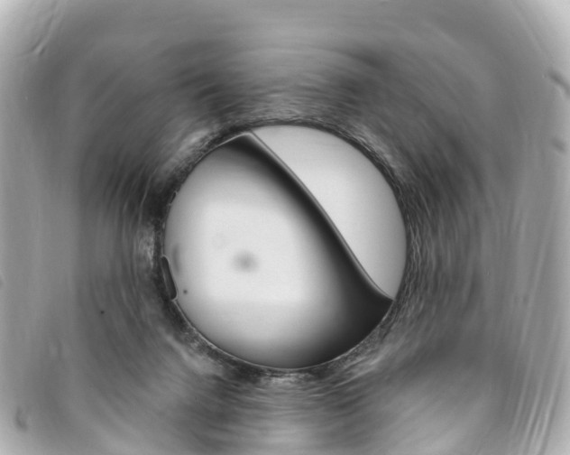 X0000094230072200710261022