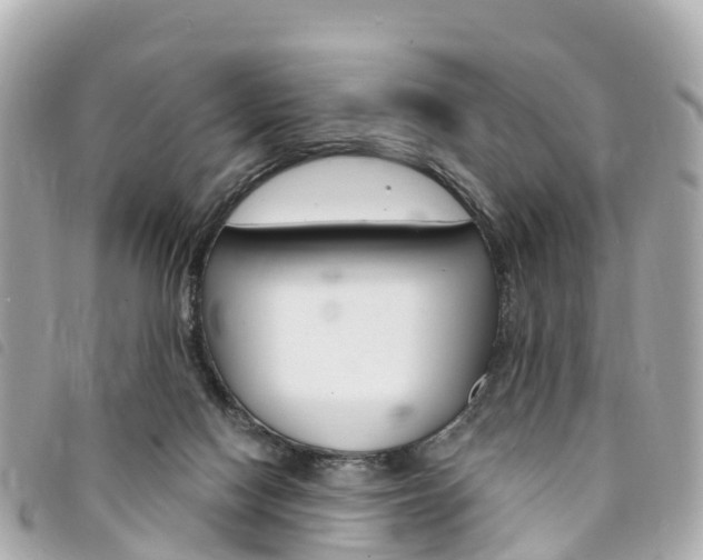 X0000094230074200710261022