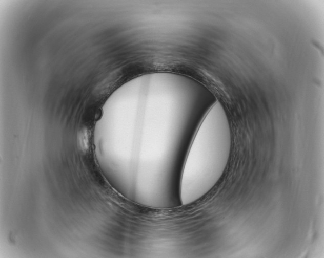 X0000094230075200710261022