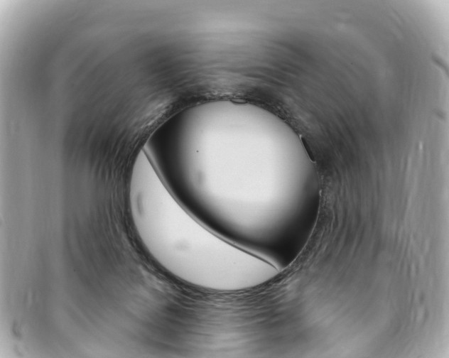 X0000094230076200710261022