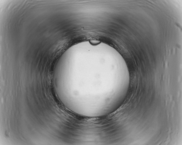 X0000094230078200710261022