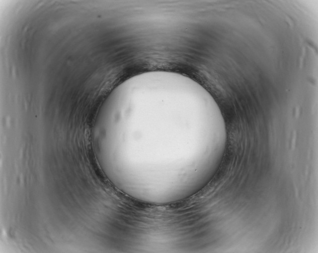 X0000094230079200710261022