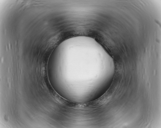 X0000094230080200710261022