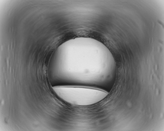 X0000094230081200710261022