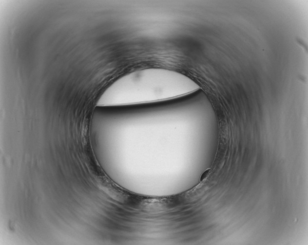 X0000094230082200710261022