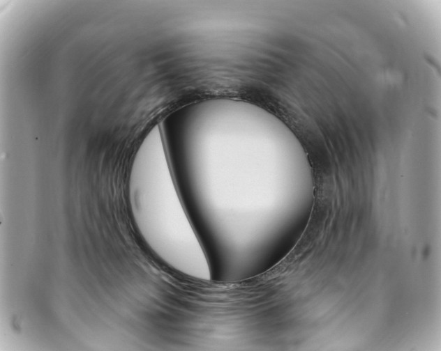 X0000094230084200710261022
