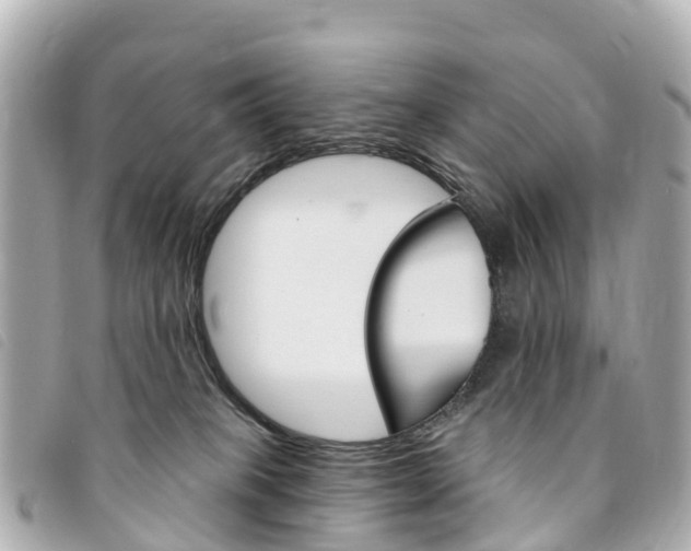 X0000094230085200710261022