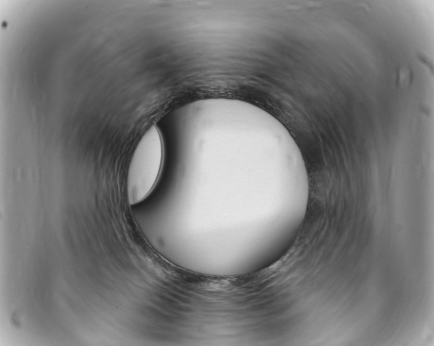 X0000094230086200710261022