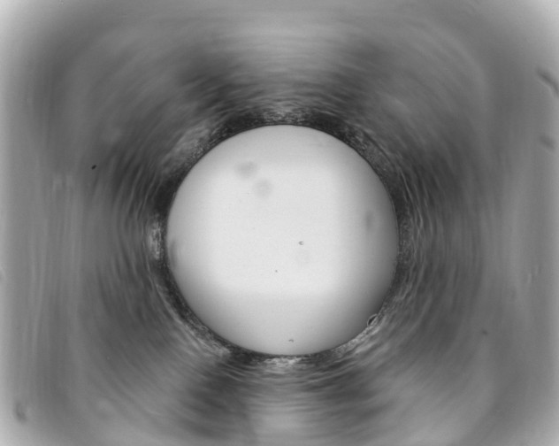 X0000094230090200710261022