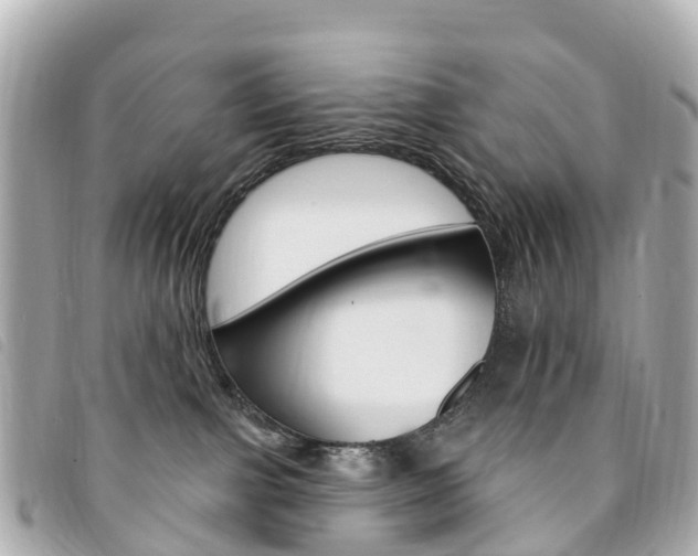 X0000094230091200710261022