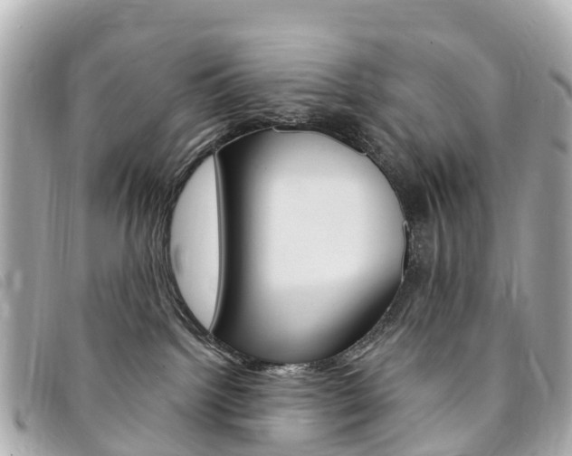 X0000094230092200710261022