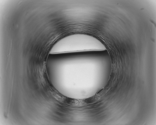 X0000094230093200710261022