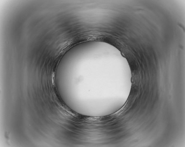 X0000094230094200710261022