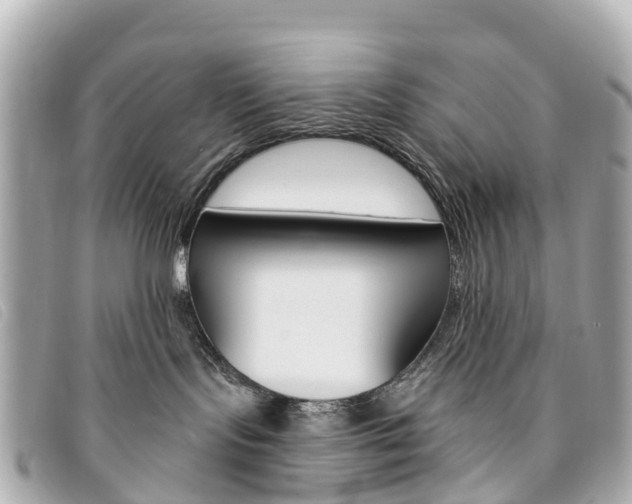 X0000094230095200710261022