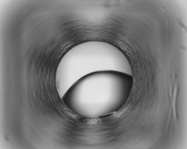 X0000094230096200710261022