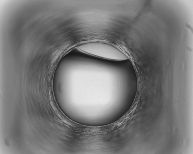 X0000094230097200710261022