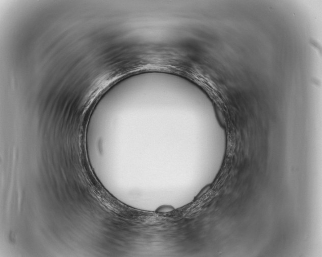 X0000094230098200710261022