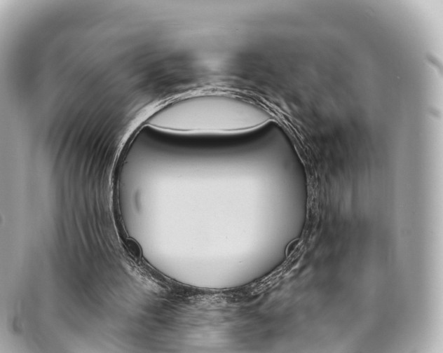 X0000094230100200710261022