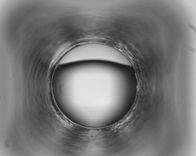 X0000094230101200710261022
