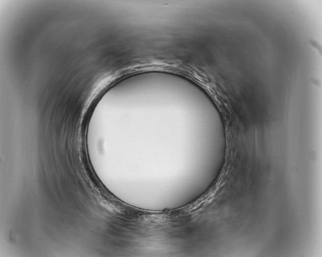 X0000094230102200710261022