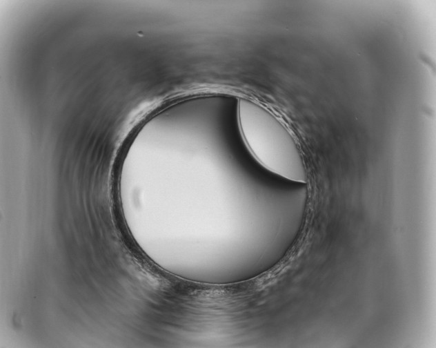 X0000094230104200710261022