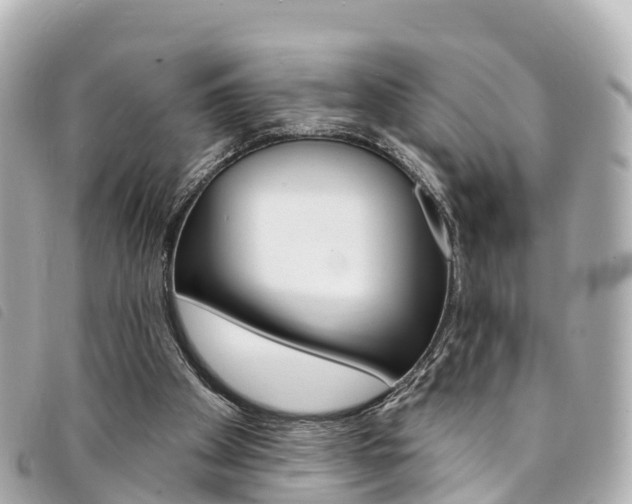 X0000094230105200710261022