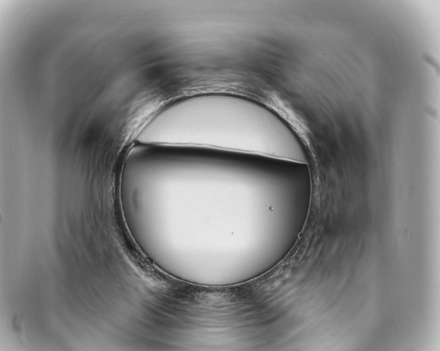X0000094230107200710261022