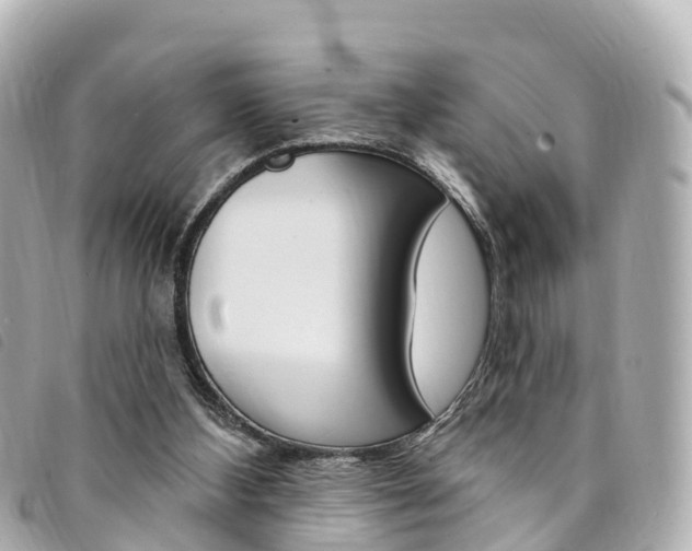 X0000094230108200710261022