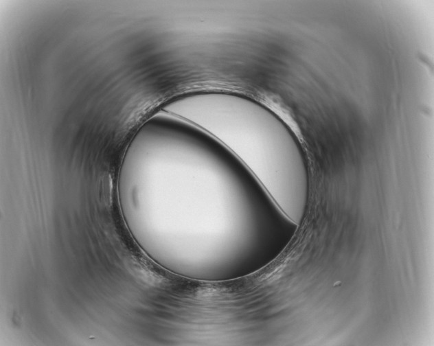 X0000094230109200710261022