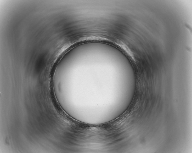 X0000094230111200710261022