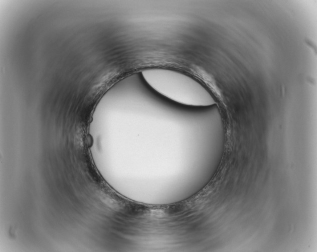 X0000094230114200710261021