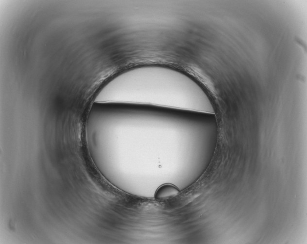 X0000094230115200710261021