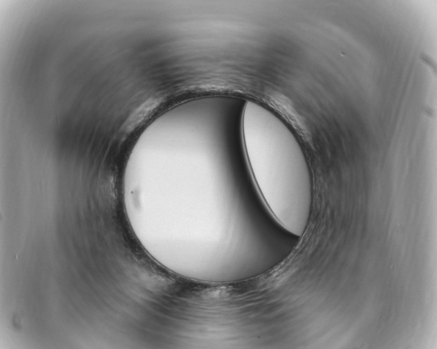 X0000094230116200710261021