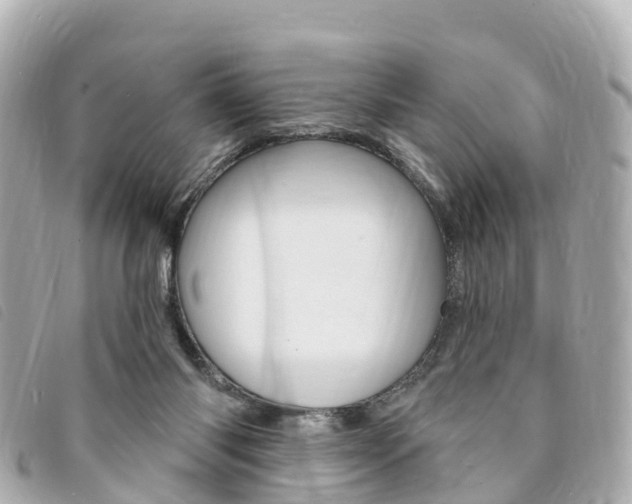 X0000094230118200710261021