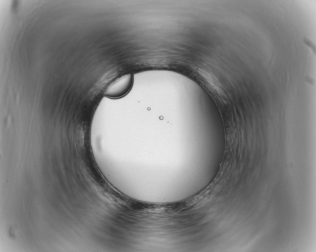 X0000094230120200710261021