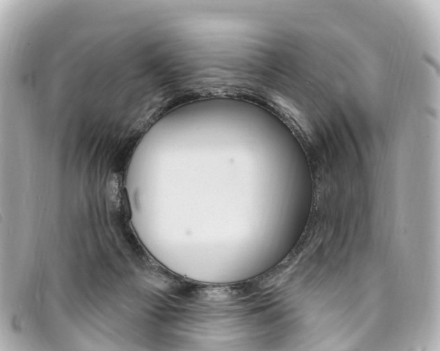 X0000094230121200710261021