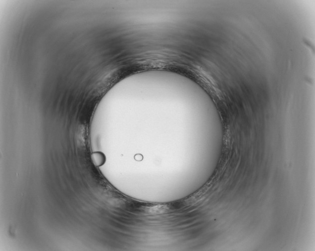 X0000094230122200710261021