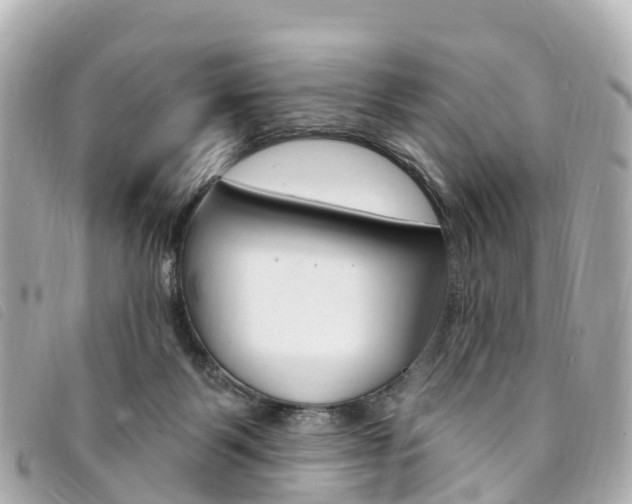 X0000094230123200710261021