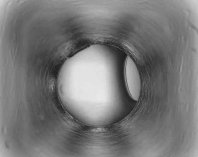X0000094230125200710261021