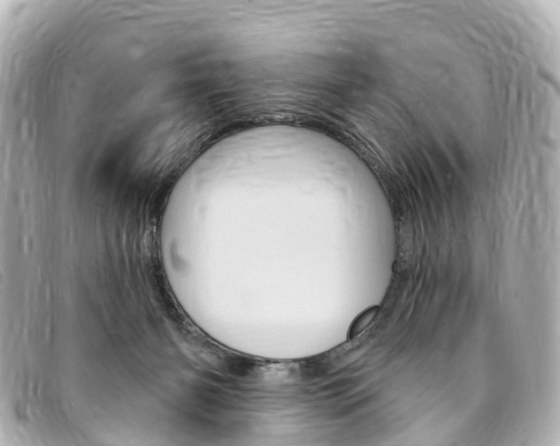 X0000094230126200710261021