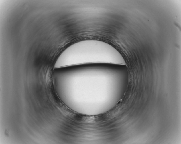 X0000094230131200710261021