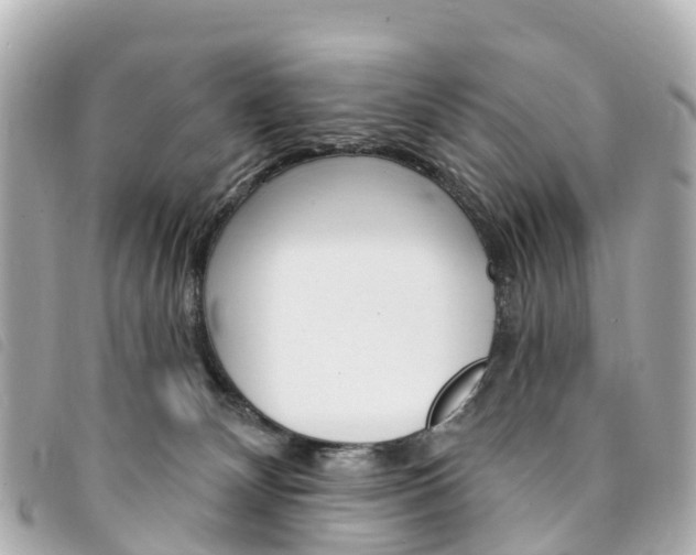 X0000094230132200710261021